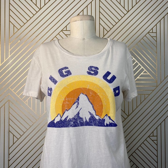 Chaser Tops Chaser Big Sur Graphic Tee Tshirt In Au Lait Poshmark